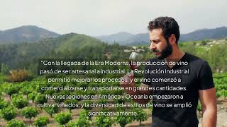 LA FASCINANTE HISTORIA DEL VINO [upl. by Huxley]