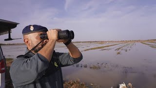 Le bilan se précise après les inondations meurtrières qui ont frappé lEspagne [upl. by Nerreg]