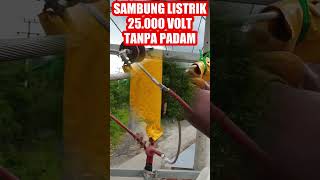 pemasangan kabel listrik tegangan tinggi 20rb volt dengan sarung tangan anti listrik tegangan tinggi [upl. by Nyltyak296]