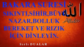 BAKARA SURESİ EVDEKİ HUZURSUZLUK SIKINTISİHİRBÜYÜNAZARBOLLUK BEREKET VE RIZIK İÇİN DİNLEYİN [upl. by Lynn291]