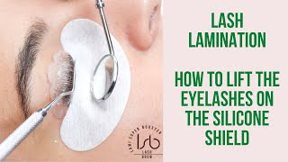 Lash Lift  how to lift the eyelashes correctly on the shields [upl. by Lecram]