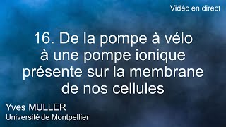 16 De la pompe à vélo à une pompe ionique présente sur la membrane de nos cellules [upl. by Grigson]