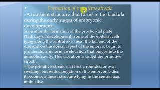 Formation of primitive streak  embryology [upl. by Fadden]