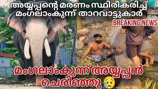 മംഗലാംകുന്ന് അയ്യപ്പൻ ചെരിഞ്ഞു 😥 പ്രണാമം mangalamkunnu Ayyappan elephant [upl. by Atinoj]