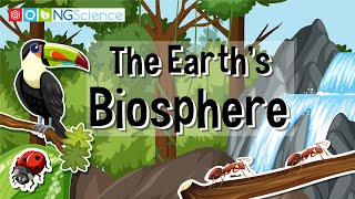 The Earths Biosphere [upl. by Leoj]