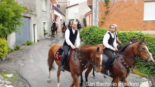 Bolotana 11052016 Festa San Bachisio e isidorosa prima bandela [upl. by Ocramed455]