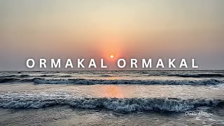 Ormakal ormakal  cover  Shebin Mathew [upl. by Safko949]