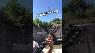 G Major diatonic scale fortdesoto guitar reels acousticguitar music trending [upl. by Galasyn]