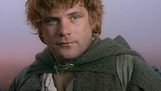 Character Spotlight Samwise Gamgee [upl. by Sualkin]