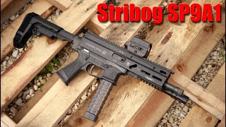 Grandpower Stribog SP9A1 1000 Round Review [upl. by Prent46]