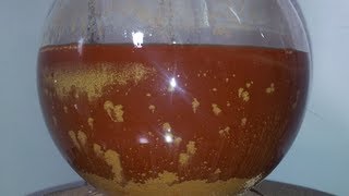 Gold Reduction with Oxalic Acid Complete Process [upl. by Laurene]