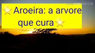 Aroeira a árvore que cura quotsérie árvores da caatinga quot [upl. by Zurek364]