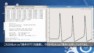 HodgkinHuxleyモデルプログラムの利用方法 [upl. by Sawyere]