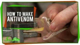 How To Make Antivenom [upl. by Lupiv460]