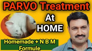 Parvo Dog virus home treatment  Dog Parvo treatment at home पार्वो वायरस Ramawat Dog care [upl. by Eimile]