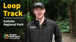 Loop Track – Kaitoke Regional Park  extended [upl. by Anide967]