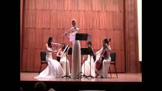 Antonio Vivaldi  Four seasons  SPRING  3rd movement for flute and string quartet [upl. by Assanav]