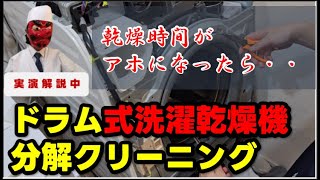 ドラム式洗濯機分解掃除の実演動画、依頼先やかかる費用はコレ [upl. by Eioj]