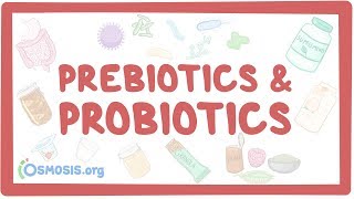 Prebiotics amp probiotics [upl. by Balf61]