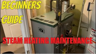 Residential Steam Boiler Maintenance Service for Beginners and Experienced Techs [upl. by Trakas]