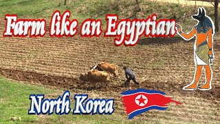 👨‍🌾 Ancient Farming in North Korea 🚀 [upl. by Leahey]