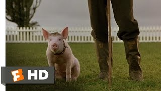 Thatll Do Pig  Babe 99 Movie CLIP 1995 HD [upl. by Alyahs]