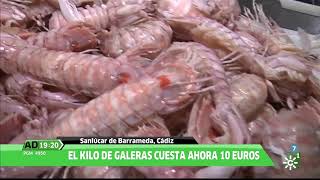 Sopa de galeras de Sanlúcar de Barrameda en Andalucía Directo [upl. by Neale]