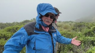 Parttime botanist documents unique plants only found on San Bruno Mountain [upl. by Ri456]