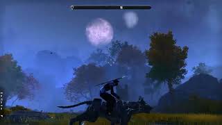 Elder Scrolls Online  From Daggerfall to Windhelm without fast traveling [upl. by Eahsat289]