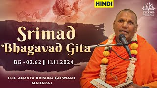 HH Ananta Krishna Goswami Maharaj  BG  0262  11112024 [upl. by Llerref109]