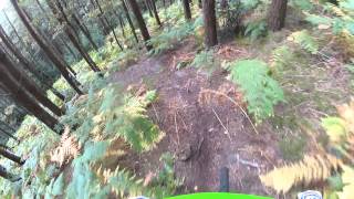 Coombs woods Armathwaite MTB [upl. by Eelah]