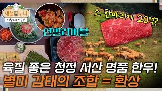 제철 요리 모음집시즌3 육질 좋은 청정 서산 명품 한우 별미 재료 감태의 조합  환상  제철누나 [upl. by Avner]