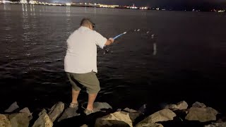 Harbor Island Night Fishing 🎣 [upl. by Broeder39]