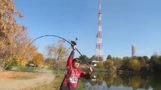 Sportex Новинка 2019 Ураган Advancer Carp 13ft 375lb [upl. by Enyaw52]