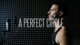 A Perfect Circle  3 Libras vocal cover w lyrics [upl. by Kafka]