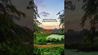 Love song tamil music love song music tamil lovesong vencutz [upl. by Nev]