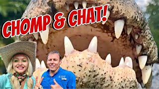 CHOMP amp CHAT Alligator Feeding [upl. by Moorish86]