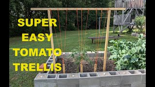 8 Tomato Trellis in 30 minutes [upl. by Yanehs]