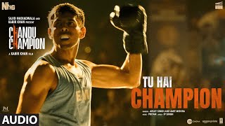 Chandu Champion Tu Hai Champion Audio Kartik Aaryan  Pritam Arijit Singh Amit Mishra IP Singh [upl. by Adrell]