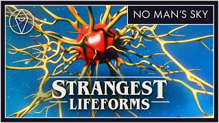 10 Strangest Lifeforms in No Mans Sky  Living Frigates and Multitools [upl. by Mychael]