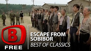 Boom TV  Escape from Sobibor  Full Drama Movie  History  War [upl. by Philip]