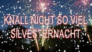 Lustige Silvestersprüche [upl. by Sabella]