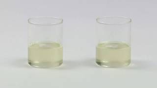 Testing Coconut Oil Adulteration  FSSAI [upl. by Annoirb276]