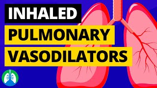 Inhaled Pulmonary Vasodilators Medical Definition  Quick Explainer Video [upl. by Missi688]