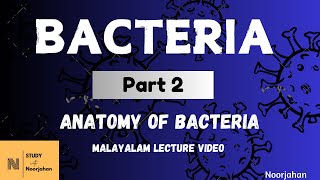 BACTERIA ANATOMY OF BACTERIA Part Two ​⁠noorjahanpc6292 [upl. by Adnarem]