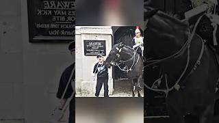 Kingsguard Horse bites police called [upl. by Aseeram]