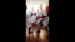 Mark Kohagura Shotokan Karate Kicking Demonstration [upl. by Terbecki]