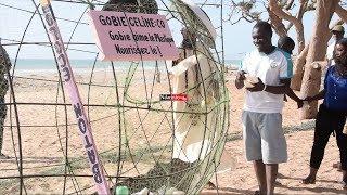 Lutte contre les plastiques  4 GOBIES placés sur la plage l’hydrobase [upl. by Yun]