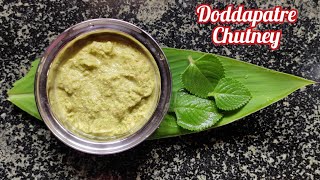 ಆರೋಗ್ಯಕರ ದೊಡ್ಡಪತ್ರೆ ಚಟ್ನಿ Healthy Doddapatre chutney ಗಂಜಿ ಚಟ್ನಿAjwain leaves ChutneyMexican mint [upl. by Llertnod171]