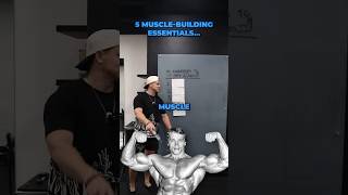 5 ESSENTIALS for putting on muscle [upl. by Audwen]